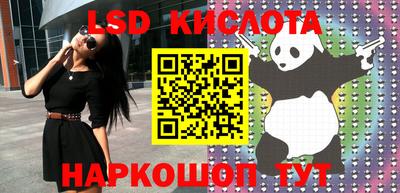 spice Краснознаменск