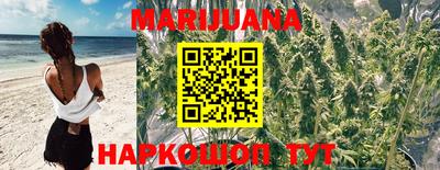 индика Краснокаменск